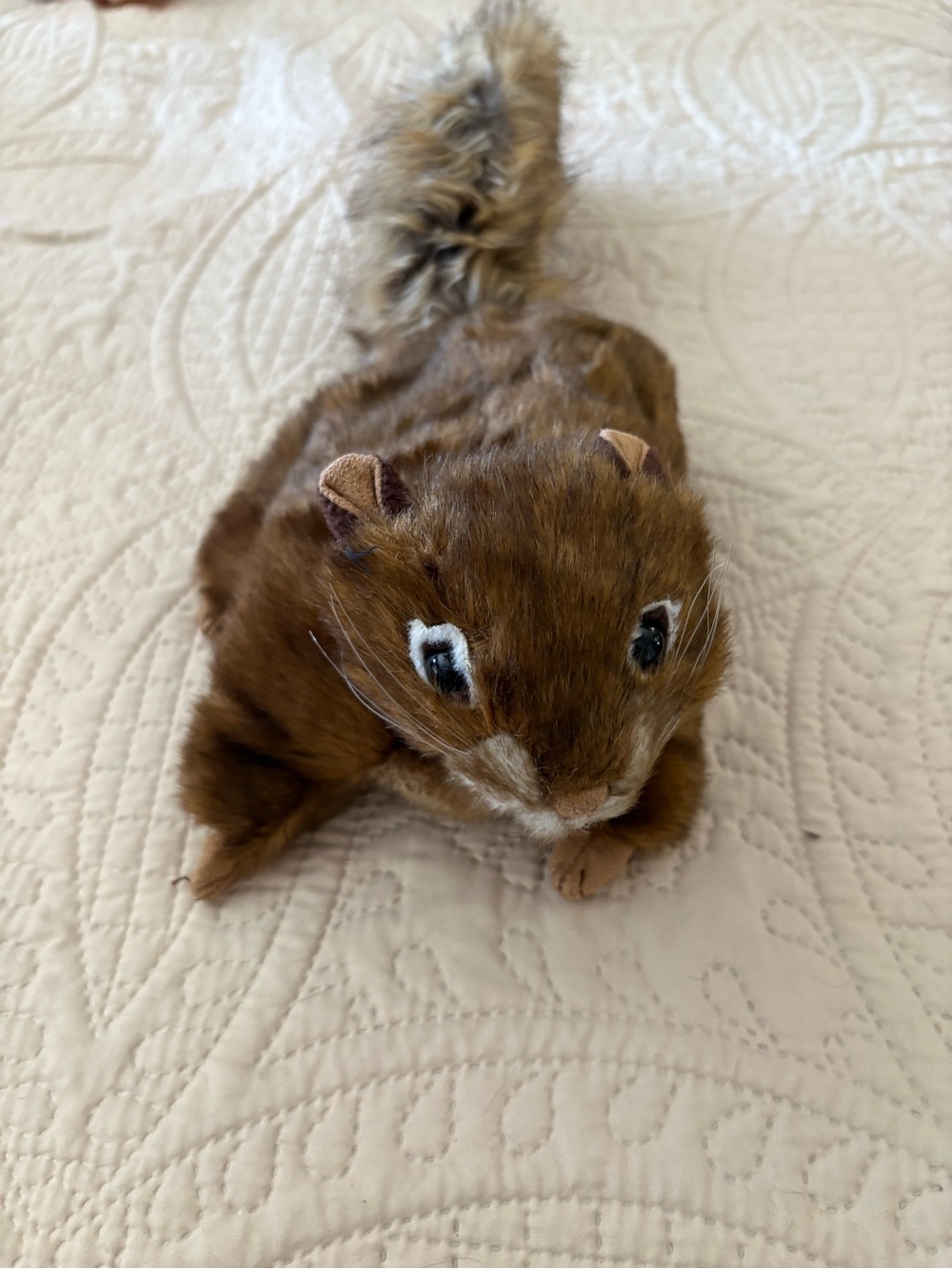 Folkmanis squirrel puppet.